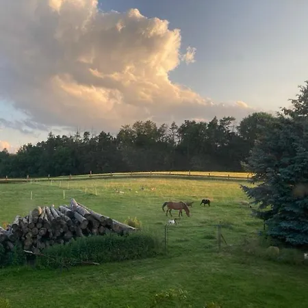 Pyramida 別荘 Nasavrky